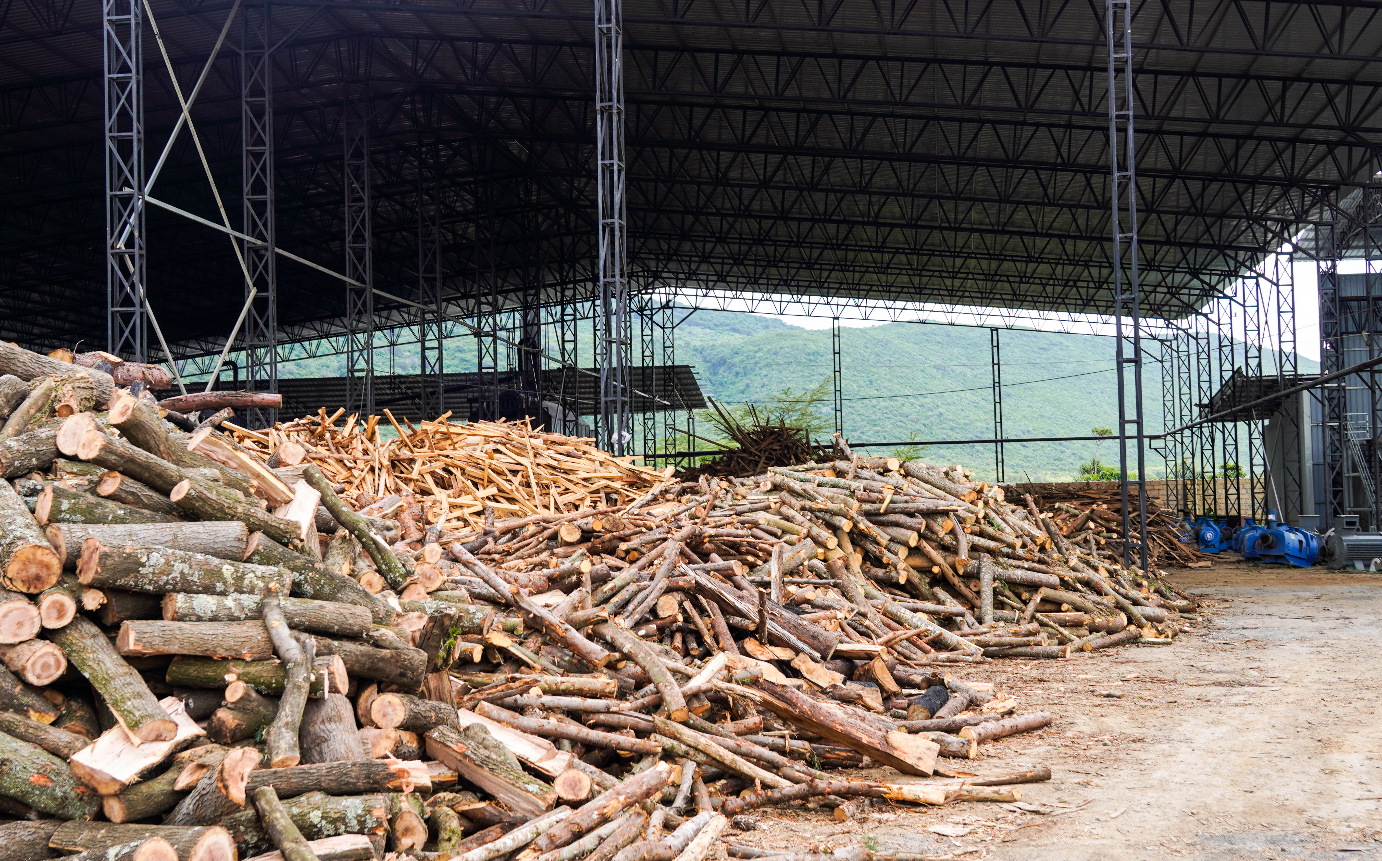 Timber Raw Material